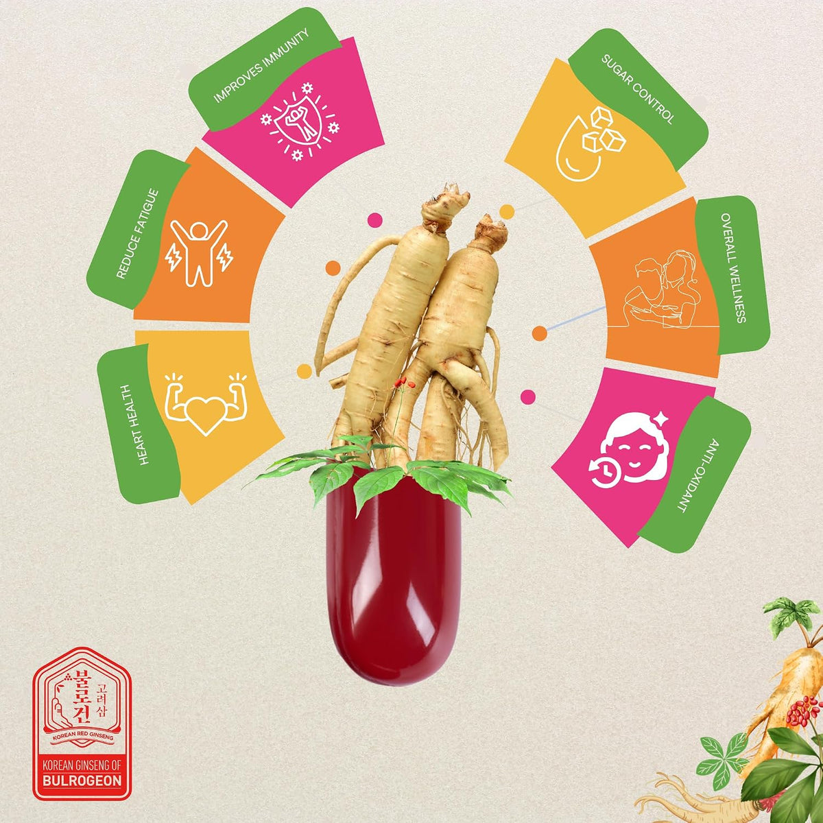 Korean Red Ginseng Capsules Premium - Caffeine Free, Gluten Free, 830mg x 120 Capsules . Made in Korea